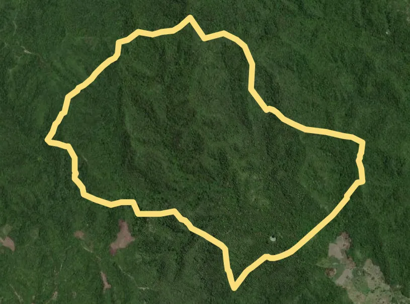 Morrocoy 1, closed canopy forest, present day